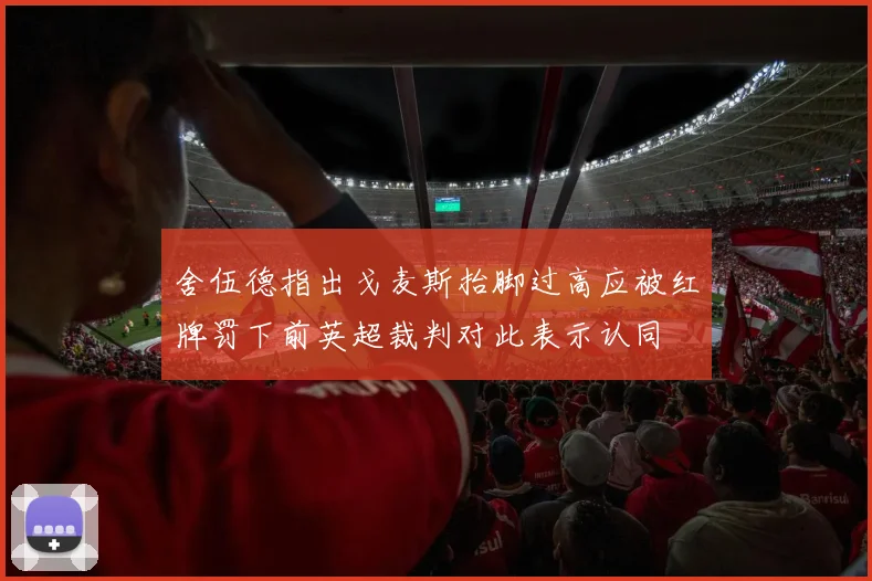 舍伍德指出戈麦斯抬脚过高应被红牌罚下前英超裁判对此表示认同