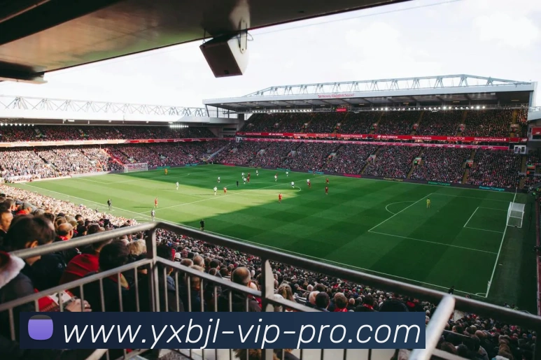 亚星百家乐网站发展历程